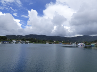 Charms of Colombia: Coffee & Caribbean.