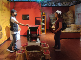 Coffee Region Getaway: Salento & Filandia