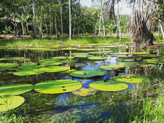 Colombia unique wonders.