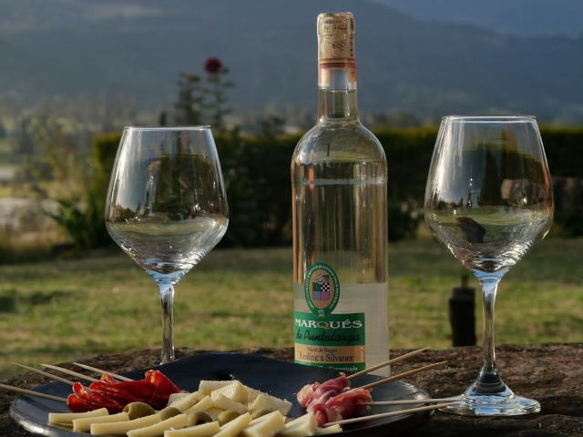 Cata de vinos en viñedo colombiano