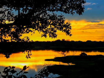 Visitors exploring Monkey Island in the Colombian Amazon.