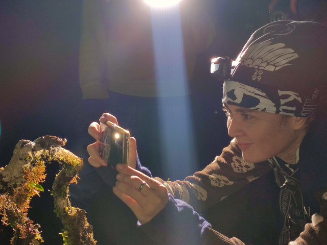 Photographing a nocturnal tree frog